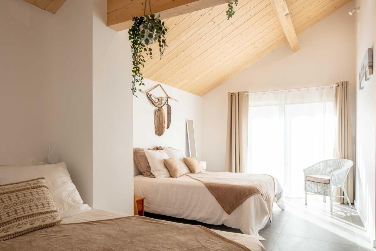 カップブルトン Ted Surf House Bed & Breakfast エクステリア 写真